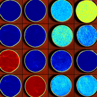 Analysis of Pharmaceuticals