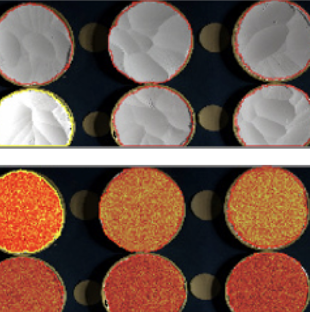 Powders Carbonate Quality