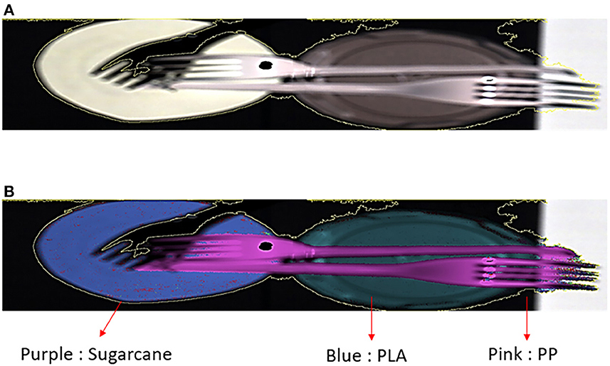 Frsus 04 1125954 G008